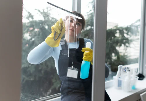 Nettoyage de vitres intérieures et extérieures à Chastel